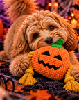 
Jouet pour Chien Citrouille Halloween – Peluche & Cordes à Mâcher
