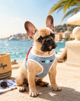 Harnais pour chien 'Riviera Pop' Denim Édition Cannes Pom d'Azur