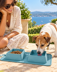 Gamelles de Voyage Pliables en Silicone pour Chien 2 x 600 ml