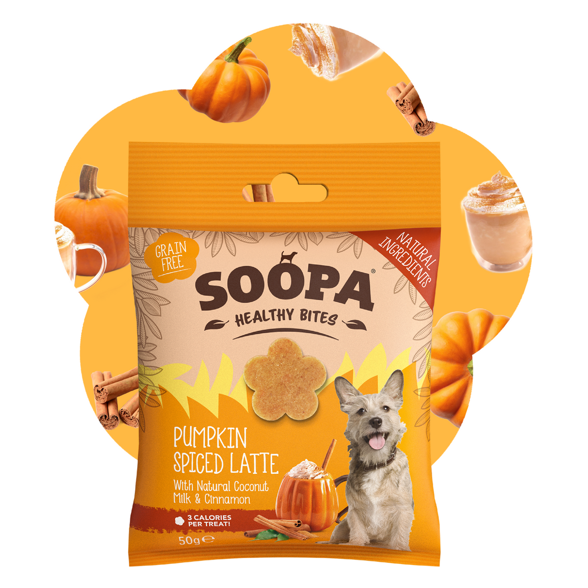 Friandises pour chiens saveur latte épicé à la citrouille