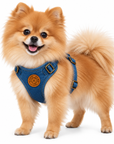 Harnais pour Chien en Denim Océan – Collection Pom d'Azur x Sohopoms