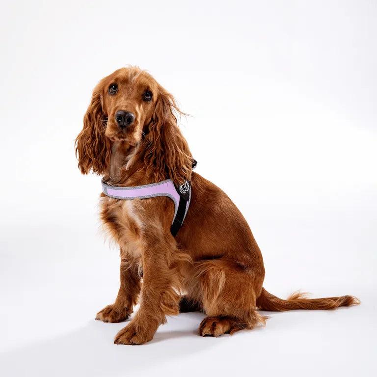 Harnais Chien Tri Ponti Easy Fit Tour de Poitrine Réglable Rose - Pom D'Azur