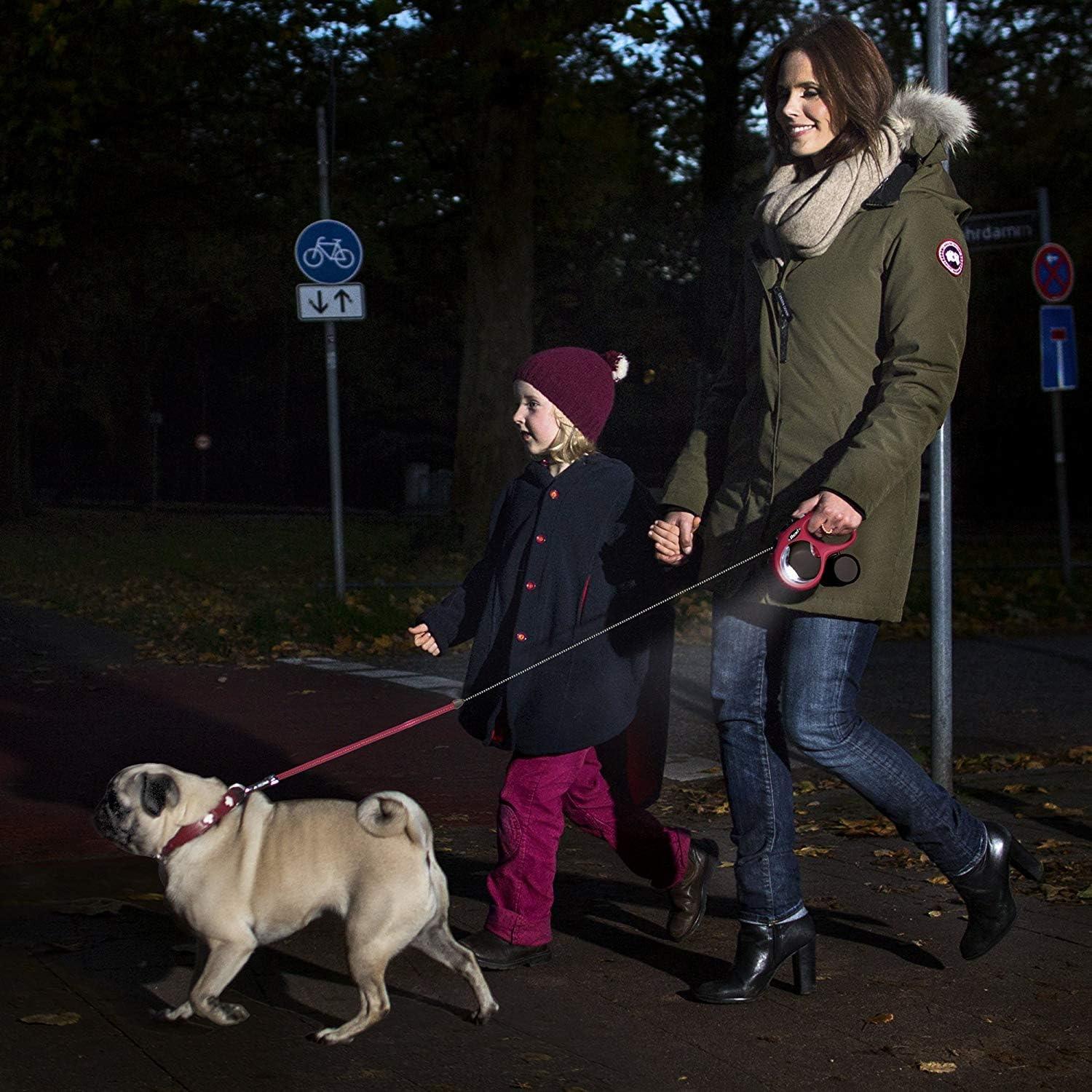 FLEXI Laisse pour Chien Visibilité et Sécurité - Pom D'Azur