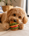Le Croisette Burger – Jouet avec couineur pour Chien