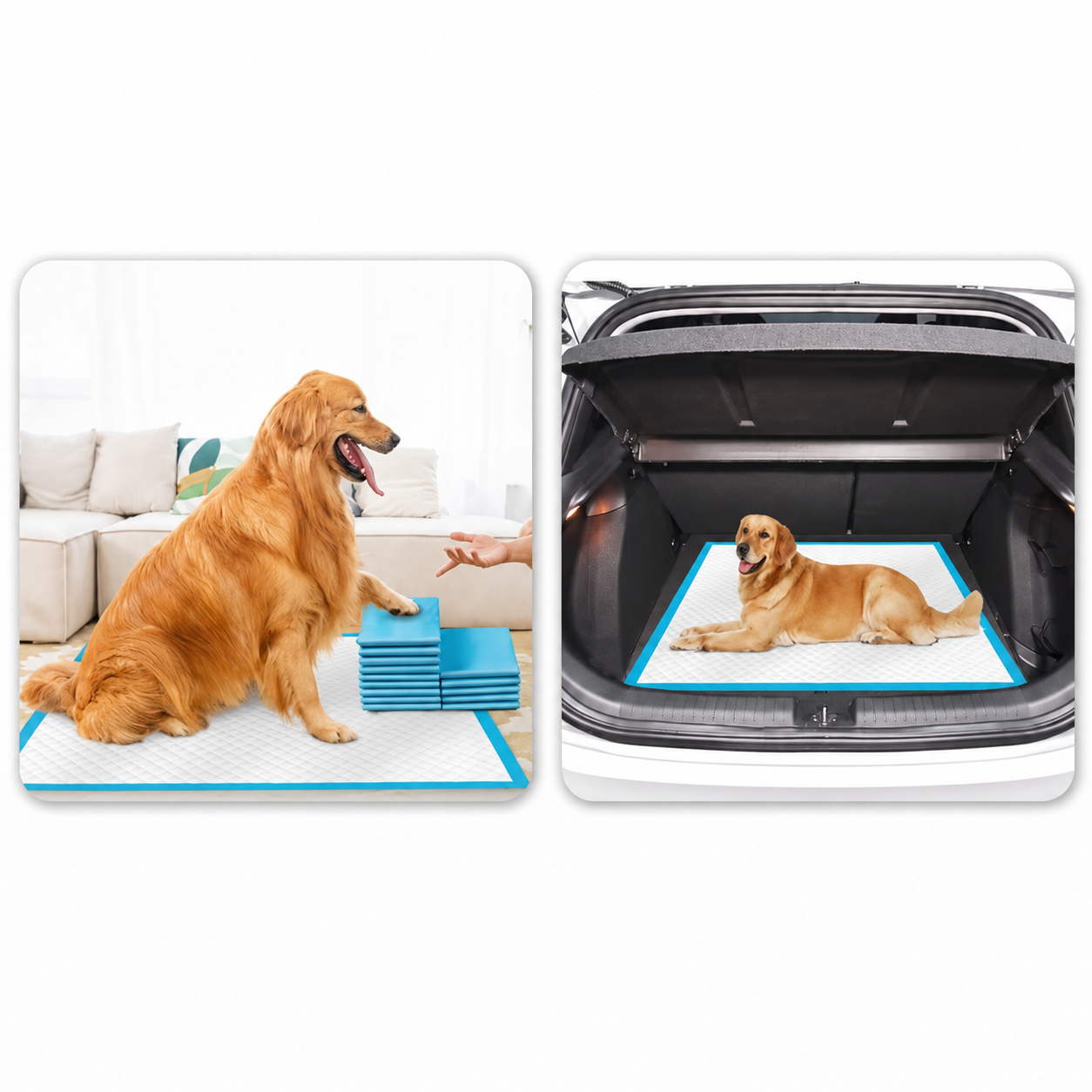 Alèse Absorbante pour Chien 45 × 60 cm