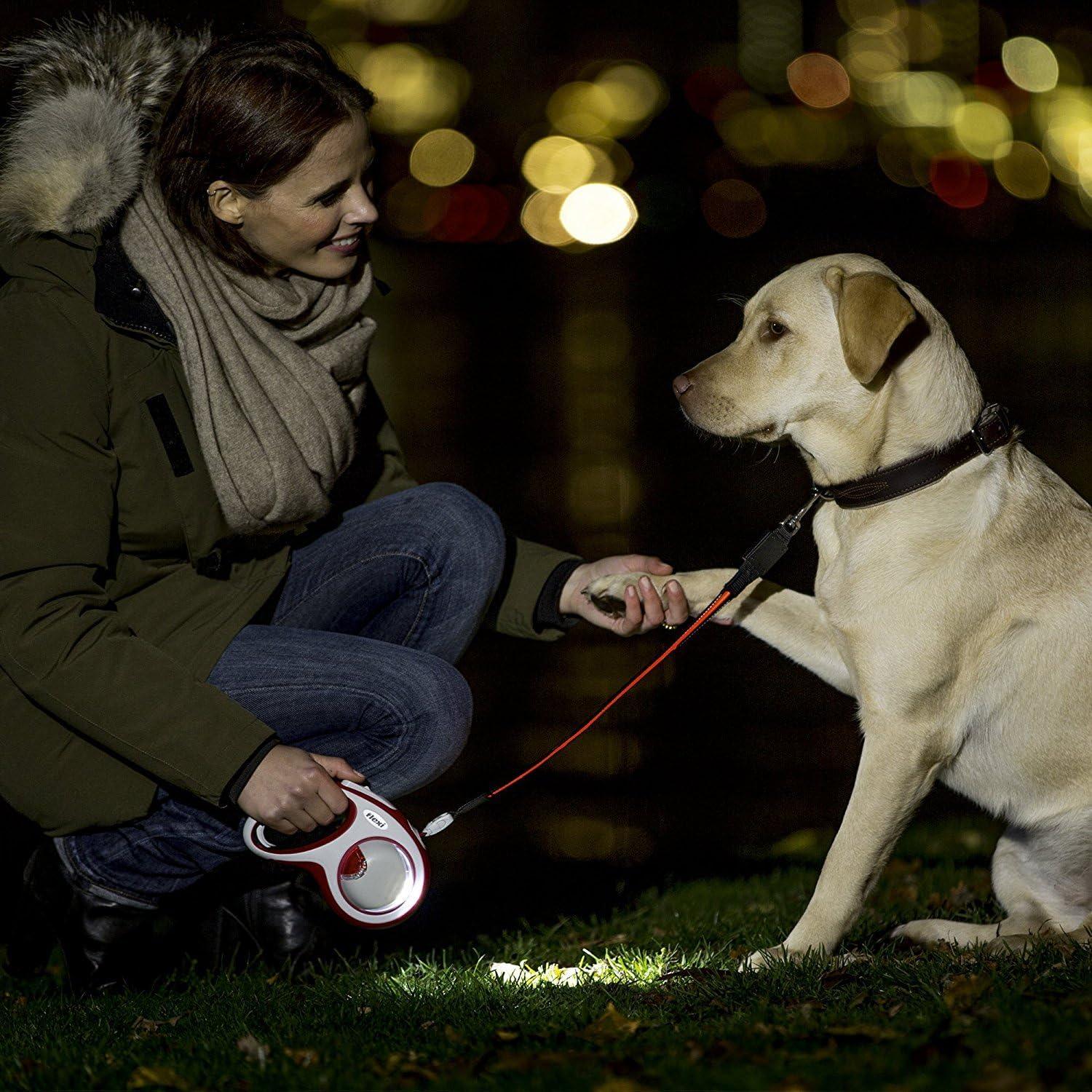 FLEXI Laisse pour Chien Visibilité et Sécurité - Pom D'Azur