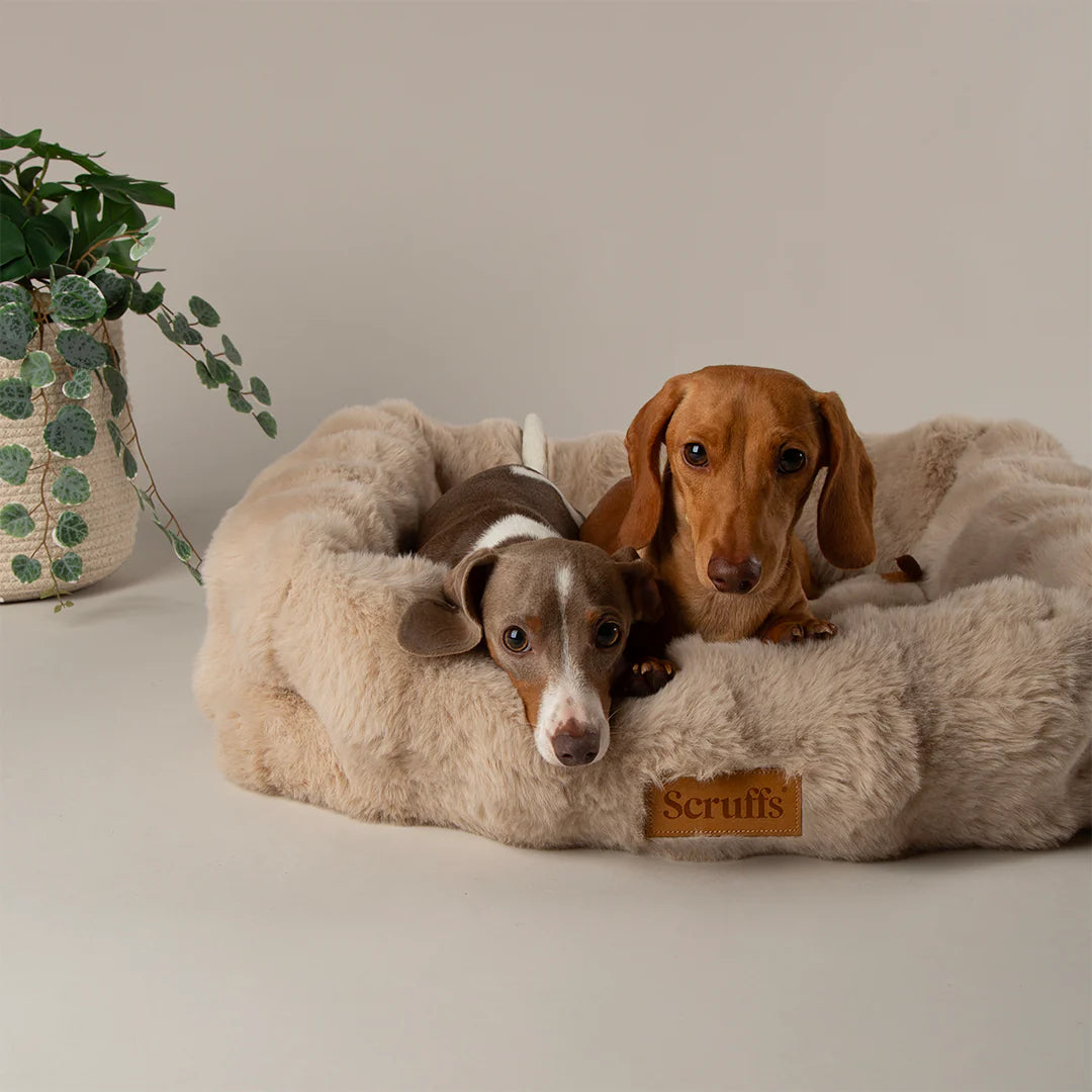 Lit pour Chien Super Doux 'Alpine' par Scruffs front