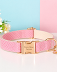 Collier pour Chien Daisy – Paillettes & Boucle Gravée Pom d’Azur