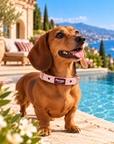 Collier pour Chien 'Blush' Pawppy Paris