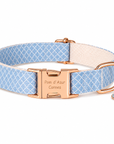 Collier pour Chien Daisy – Paillettes & Boucle Gravée Pom d’Azur