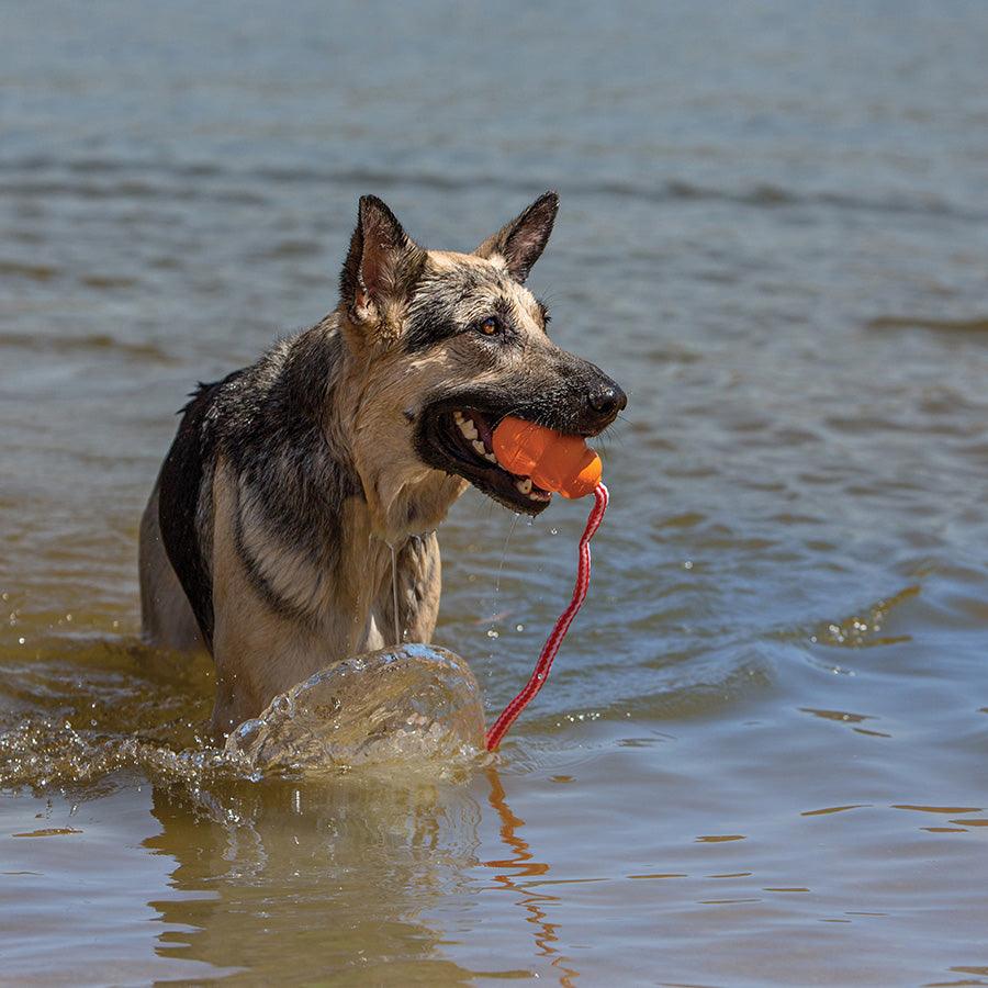 KONG Classic Orange avec Corde Jouet pour Chien - Pom D'Azur