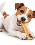 Fromage de l’Himalaya CHURPI – Friandise naturelle à mâcher pour chien