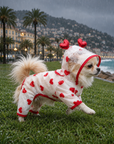 Imperméable Transparent à Cœurs pour Chien