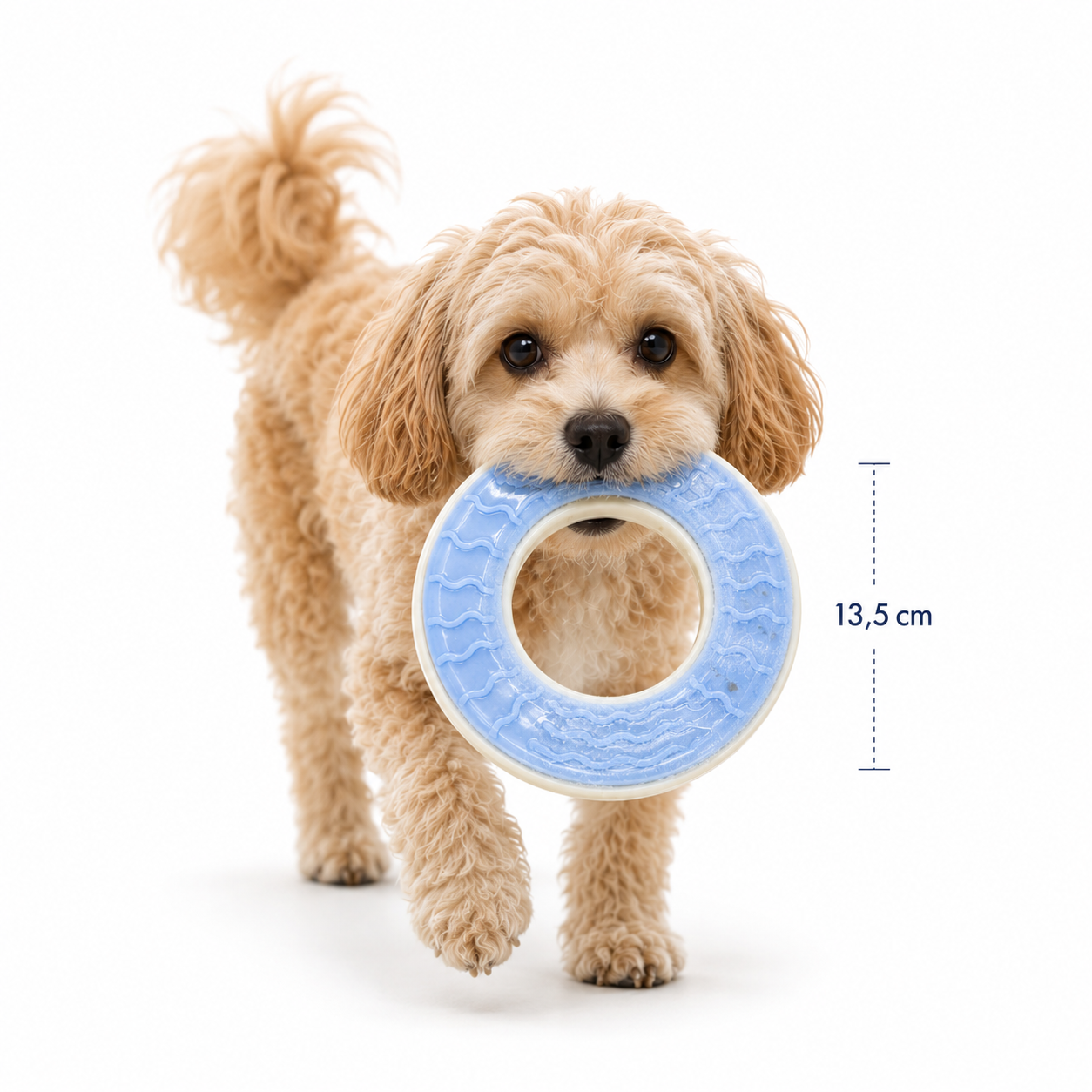 Anneau Rafraîchissant pour Chien à Congeler Jouet d'Eau Réutilisable 
