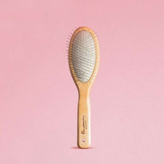 Brosse Poméranien par Pom Beauty