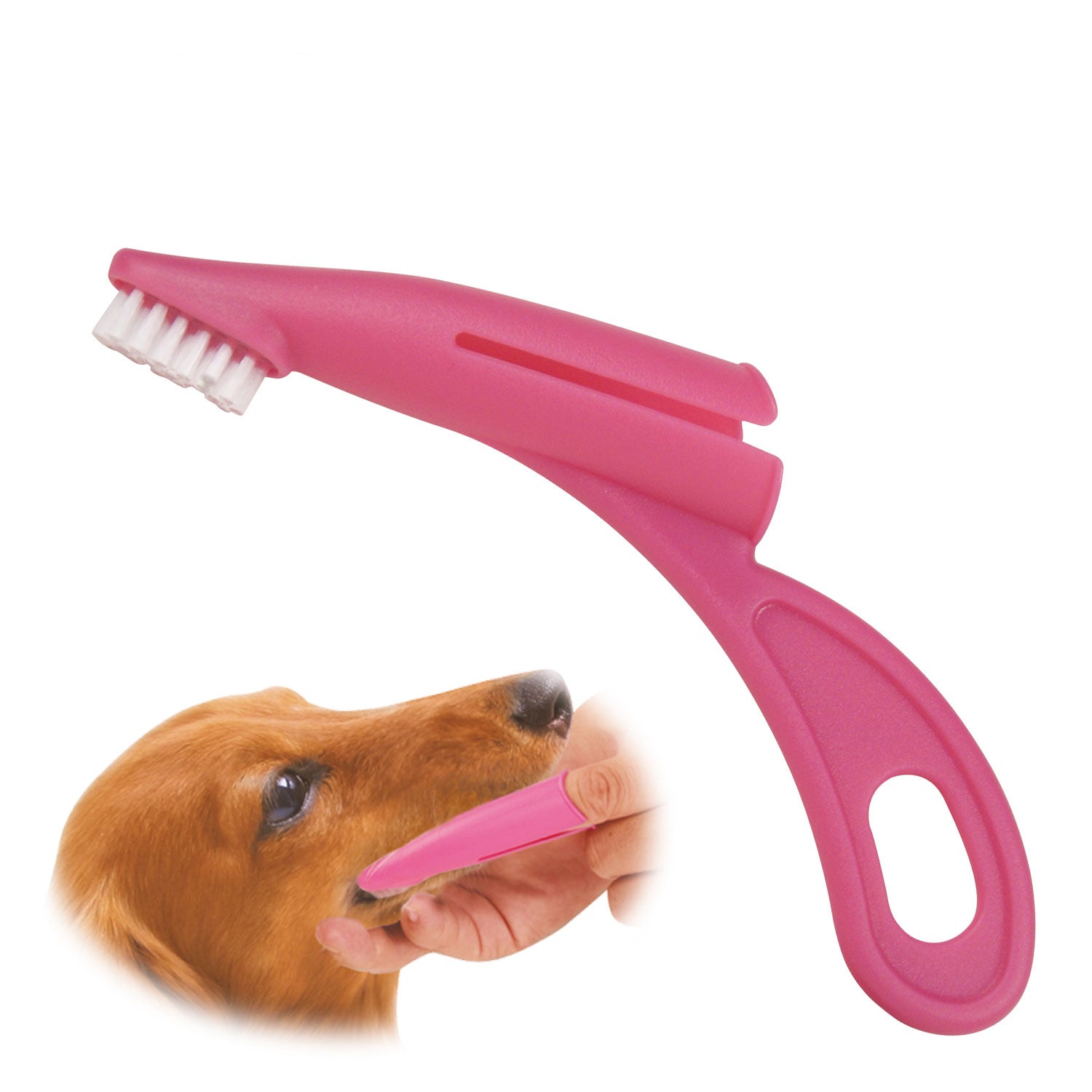 Brosse à dents pour chien