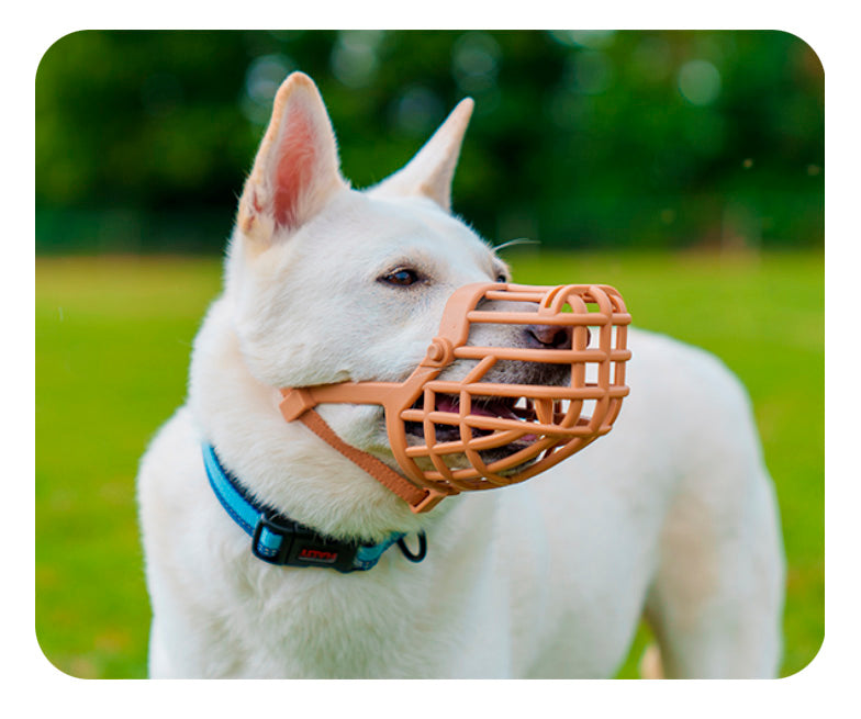Muselière Panier Premium pour Chien – Confort &amp; Sécurité