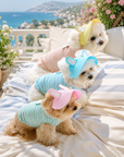 Casquette d'été pour Petits Chiens lifestyle