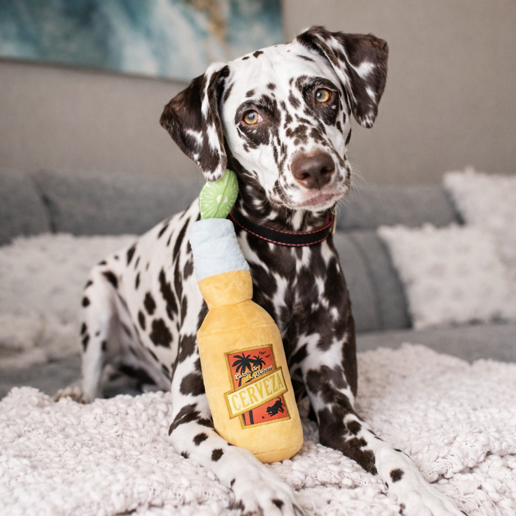 Tropical Bottle Plush Dog Toy with Squeaker
