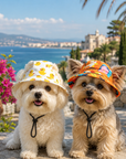 Chapeau d'été pour Petits Chiens Lifestyle