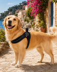 Harnais pour chien Tre Ponti Mesh Noir lifestyle