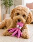 Jouet pour Chien Poulpe par Kong® Lifestyle