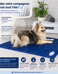 Tapis rafraîchissant pour Chien Fraîcheur instantanée 120 × 75 cm