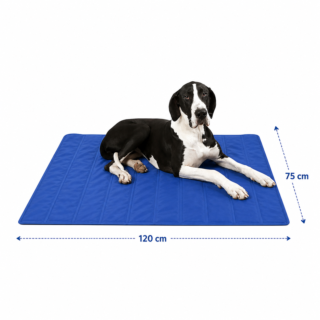 Tapis rafraîchissant pour Chien Fraîcheur instantanée 120 × 75 cm