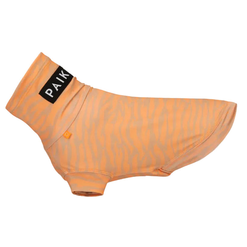 Chemise Anti-UV & Anti-Insectes pour Chien Pêche Zebra UPF 50+