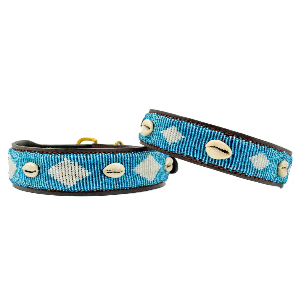 Collier pour Chien Blue Lagon Shell