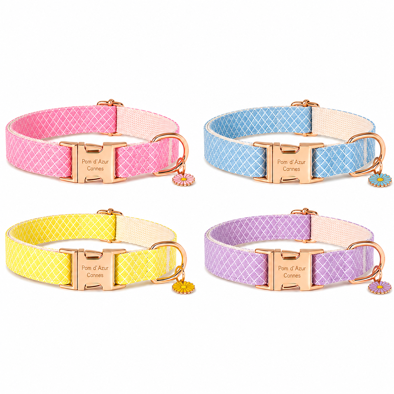 Collier pour Chien Daisy – Paillettes &amp; Boucle Gravée Pom d’Azur