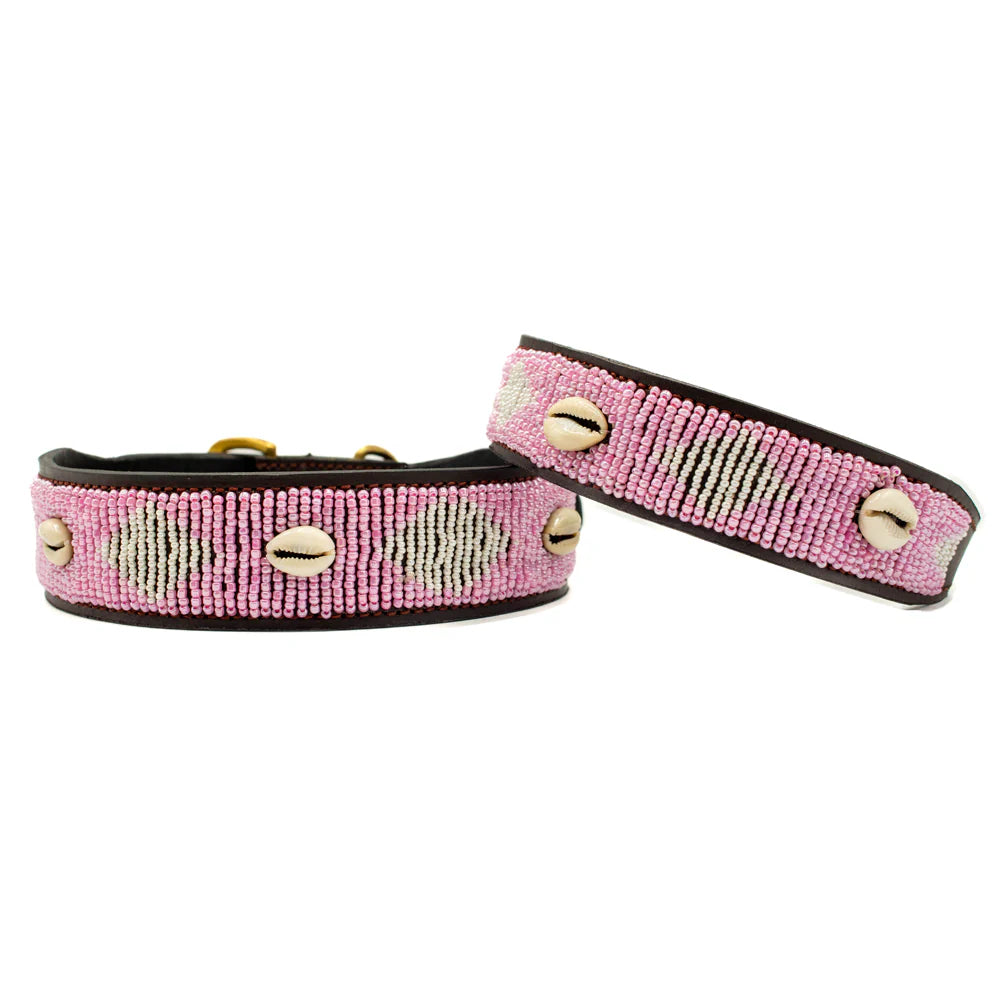 Collier pour Chien Pink Shell