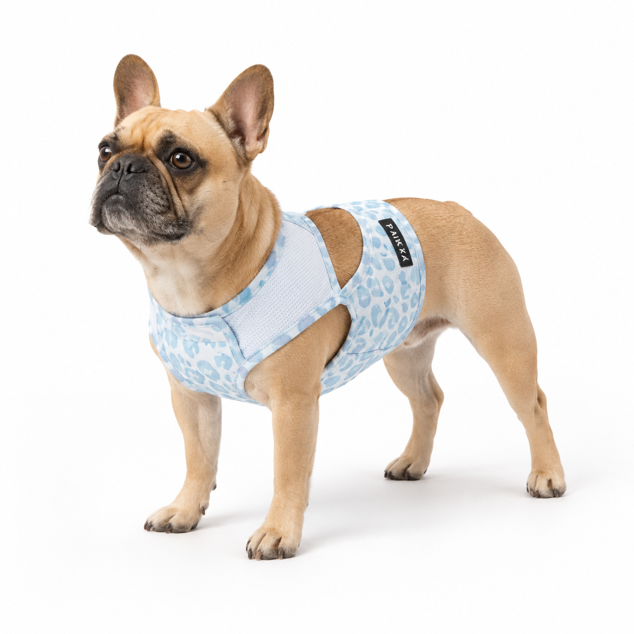 Gilet Fraîcheur Riviera Bleu pour chien par PAIKKA été