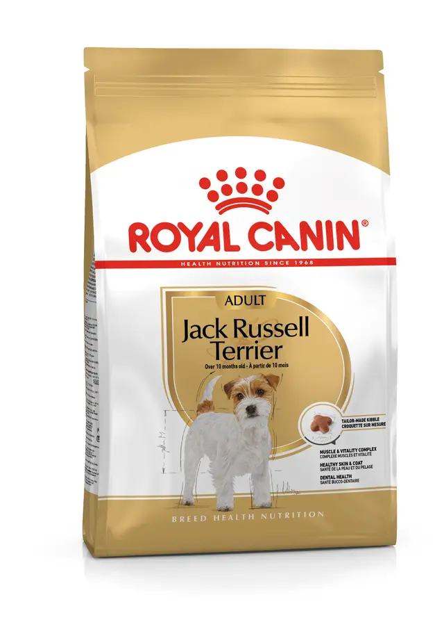 Croquette pour Jack Russel Royal Canin
