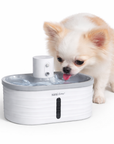 Fontaine Automatique pour Chien et Chat 'Nomade' – 2,5 L