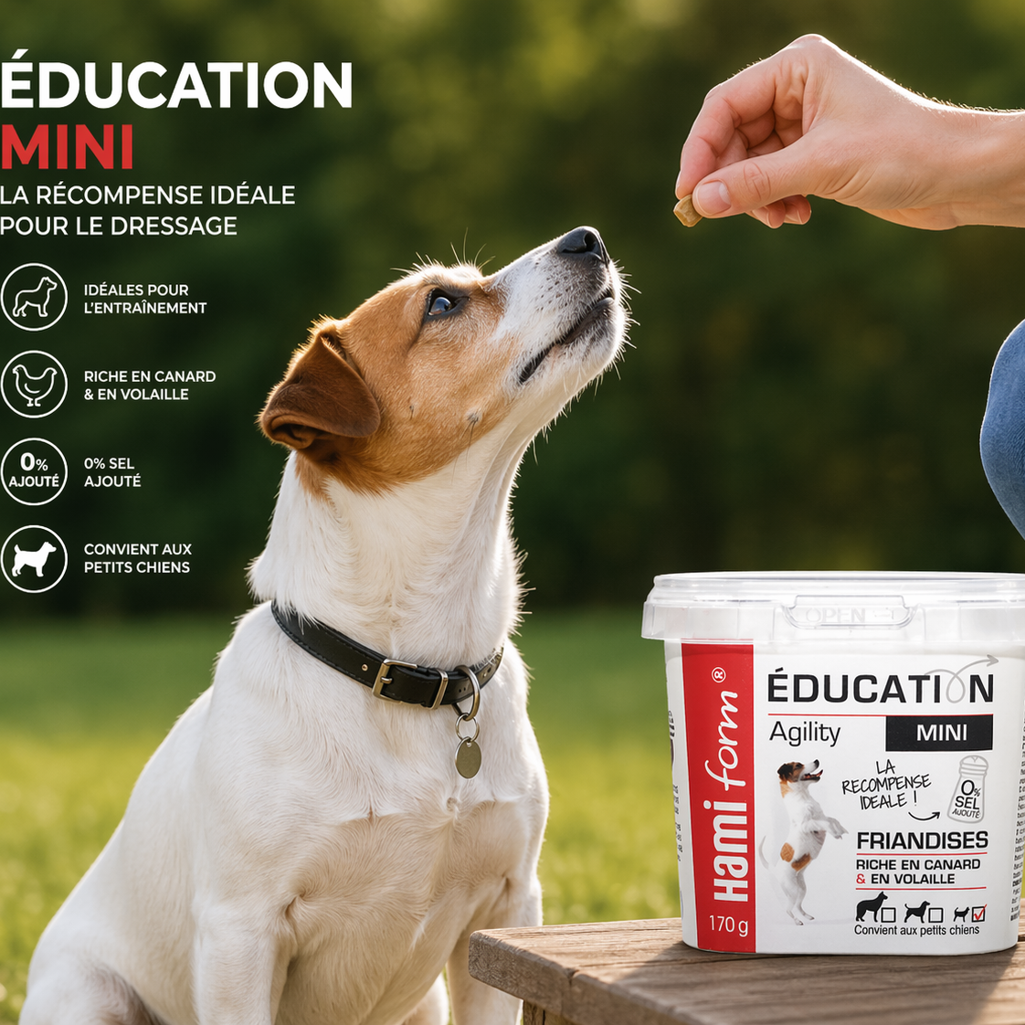 Friandises d’Éducation Mini pour Chien – 170g