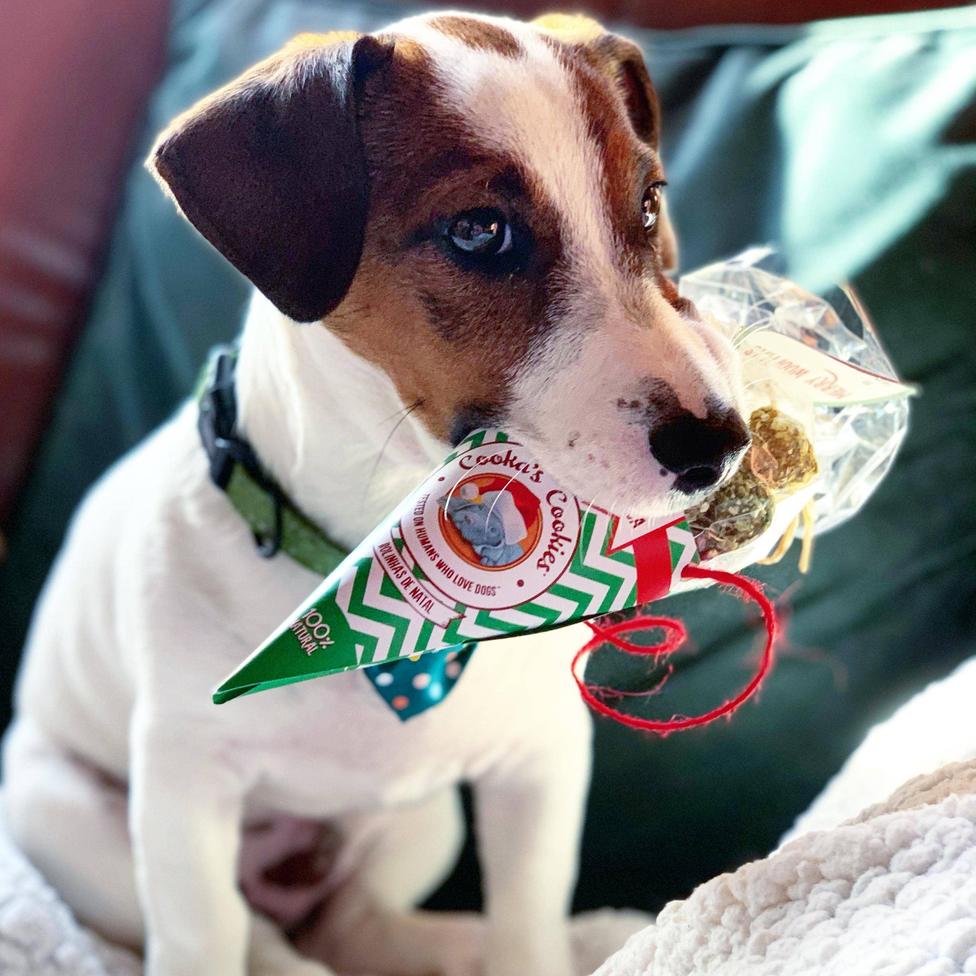 Friandises de Boeuf pour Chien Noel 