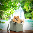 Load image into Gallery viewer, Sac de Transport Pour Chien Coton Ciré Olive par SohoPoms
