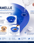 Gamelle Rafraîchissante pour Chien et Chat – Abreuvoir Réfrigérant Réutilisable option 1