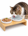Gamelle bois et céramique pour Chat Double