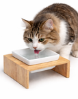 Gamelle bois et céramique pour Chat Simple