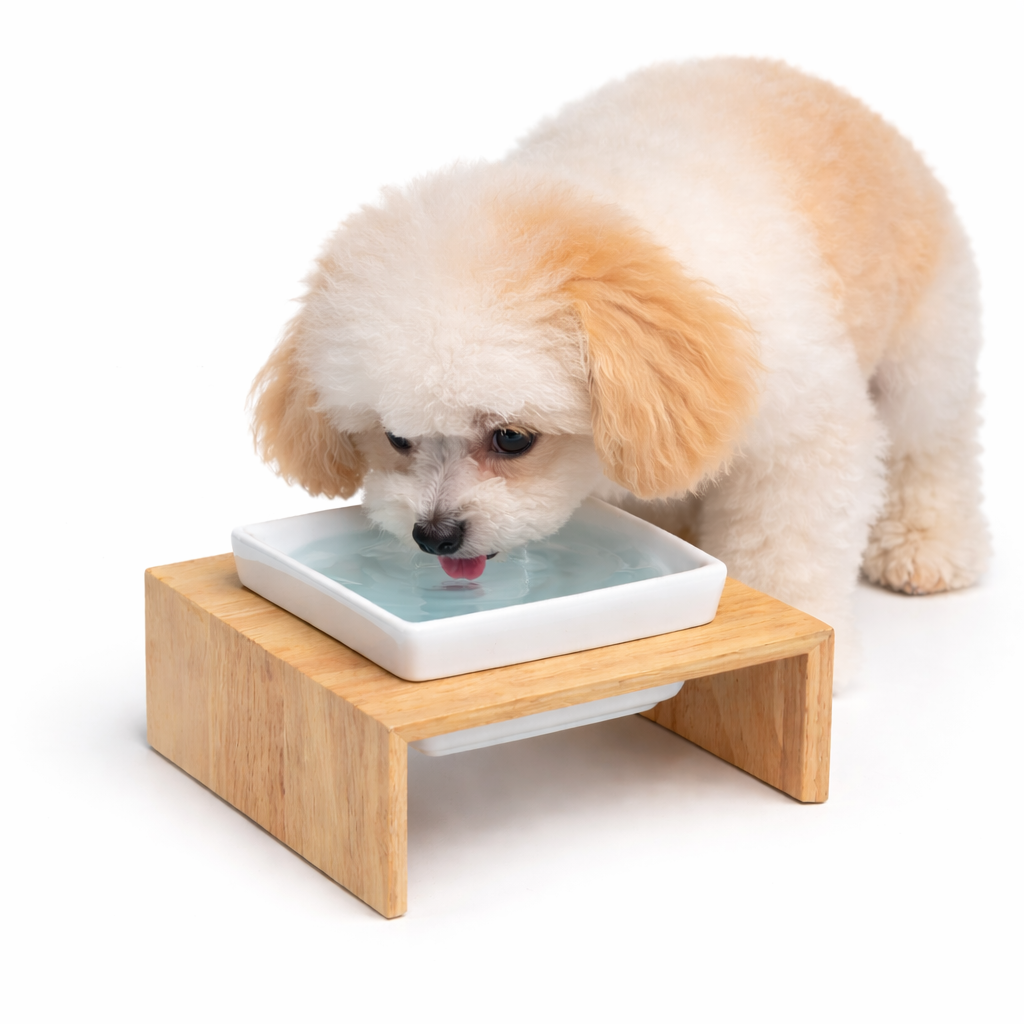 Gamelle bois et céramique pour Chien Simple
