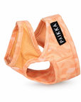 Gilet Fraîcheur Riviera Pêche pour chien par PAIKKA