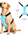 Gilet Rafraîchissant Premium pour Chien – Fraîcheur Longue Durée