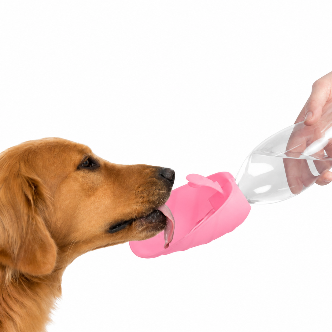 Gourde de Voyage pour Chien Leaf Rose 500 ml – Distributeur d’Eau Portable Étanche