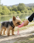 Gourde pour Chien 450ml lifestyle