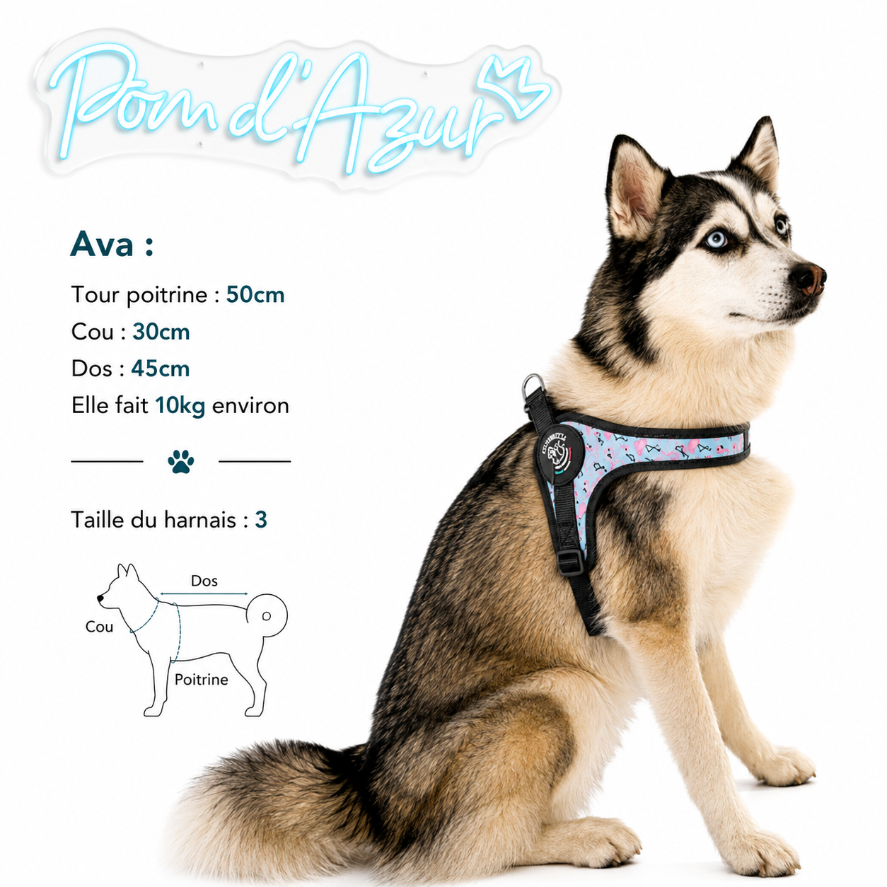 Harnais Chien Tre Ponti Tour de Poitrine Ajustable Flamingo Lifestyle