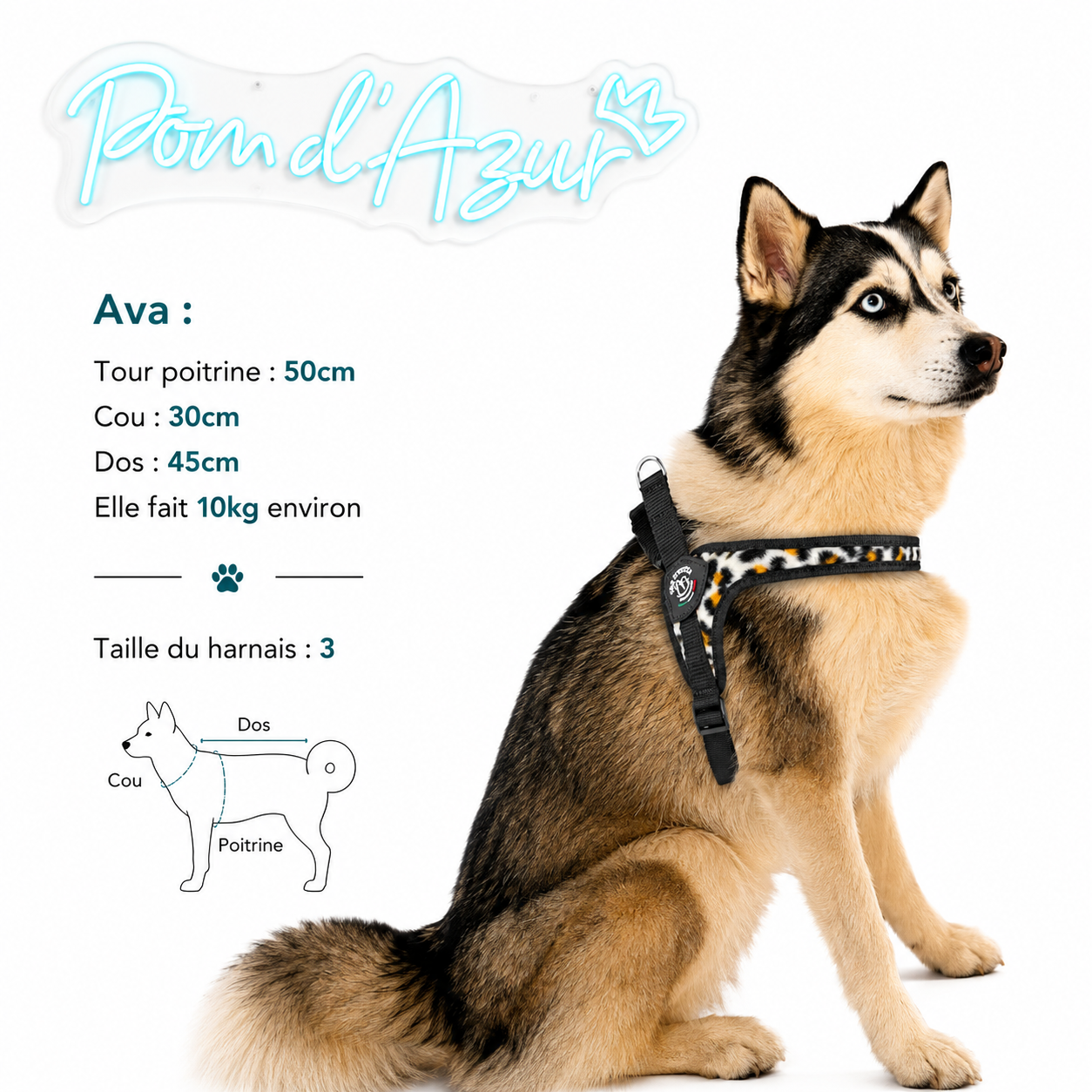 Harnais Chien Tri Ponti Tour de Poitrine Ajustable Panthère des Neiges Lifestyle