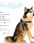 Harnais Chien Tri Ponti Tour de Poitrine Ajustable Panthère des Neiges Lifestyle