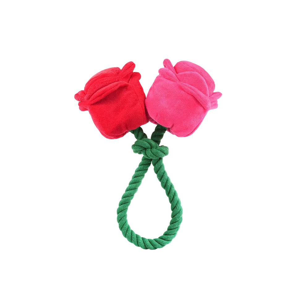 Bouquet de Roses Jouet pour Chien